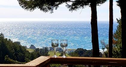 Wow! Amazing Oceanview, walk to Beach & Game room!