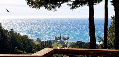 Wow! Amazing Oceanview, walk to Beach & Game room!