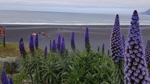 A beach with purple flowers in the foreground and a sign warning of strong currents and no lifeguard. - Wow! Amazing Oceanview, walk to Beach & Game room! (Whitethorn)