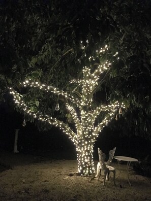 Property grounds - Villa Vie country estate (Aongatete)