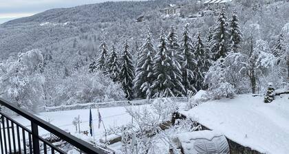 Winter sports and hiking rentals