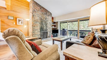 TV, fireplace, DVD player, books