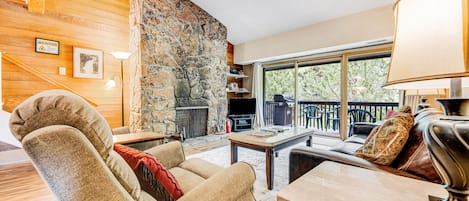 Televisión, chimenea, reproductor de DVD y libros