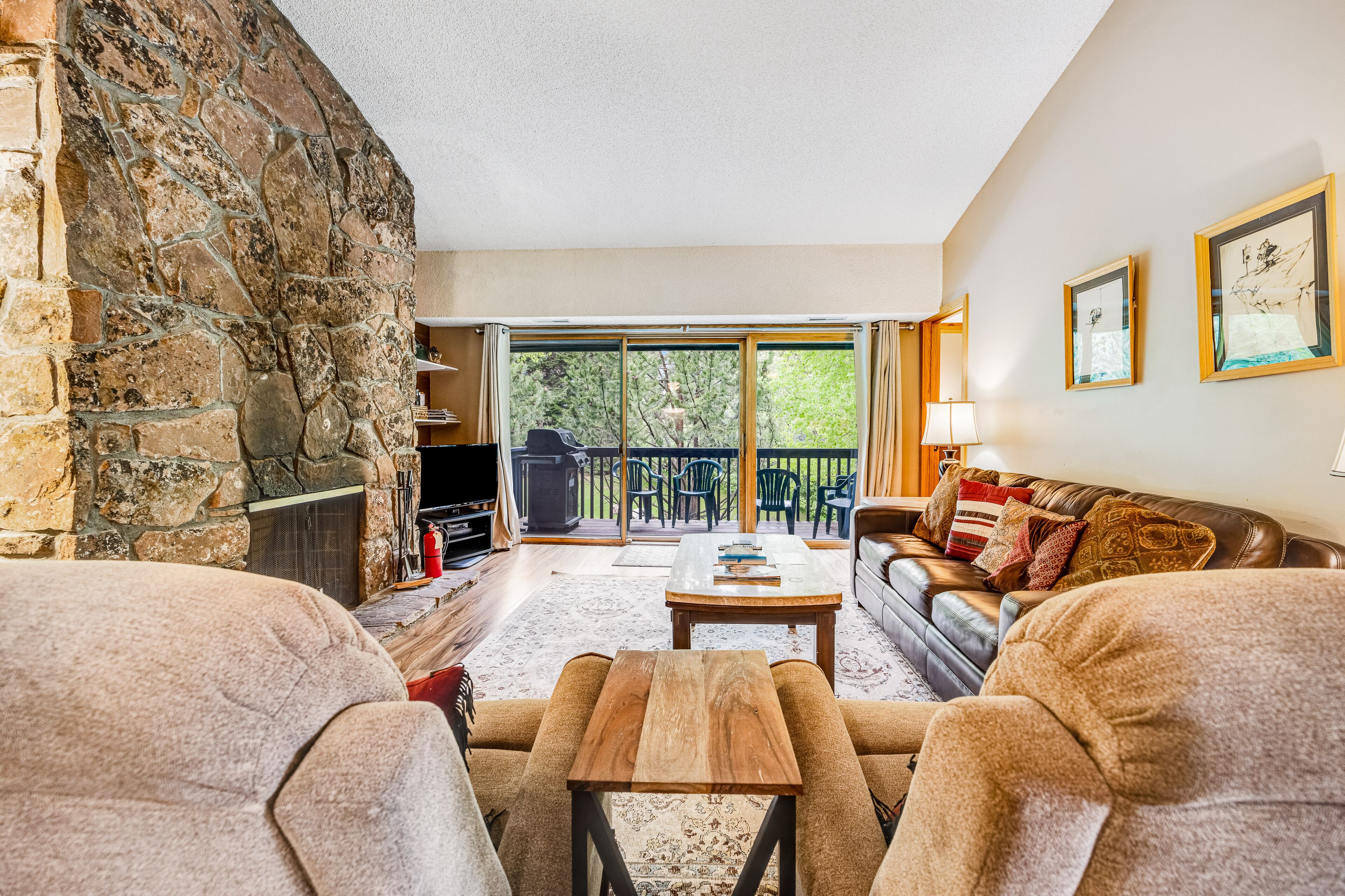 TV, fireplace, DVD player, books