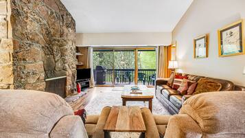 TV, fireplace, DVD player, books