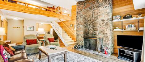 TV, fireplace, DVD player, books