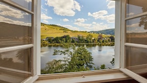 Una ventana con vistas a un lago, vegetación circundante y un edificio distante.