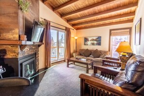 TV, fireplace, books, video library