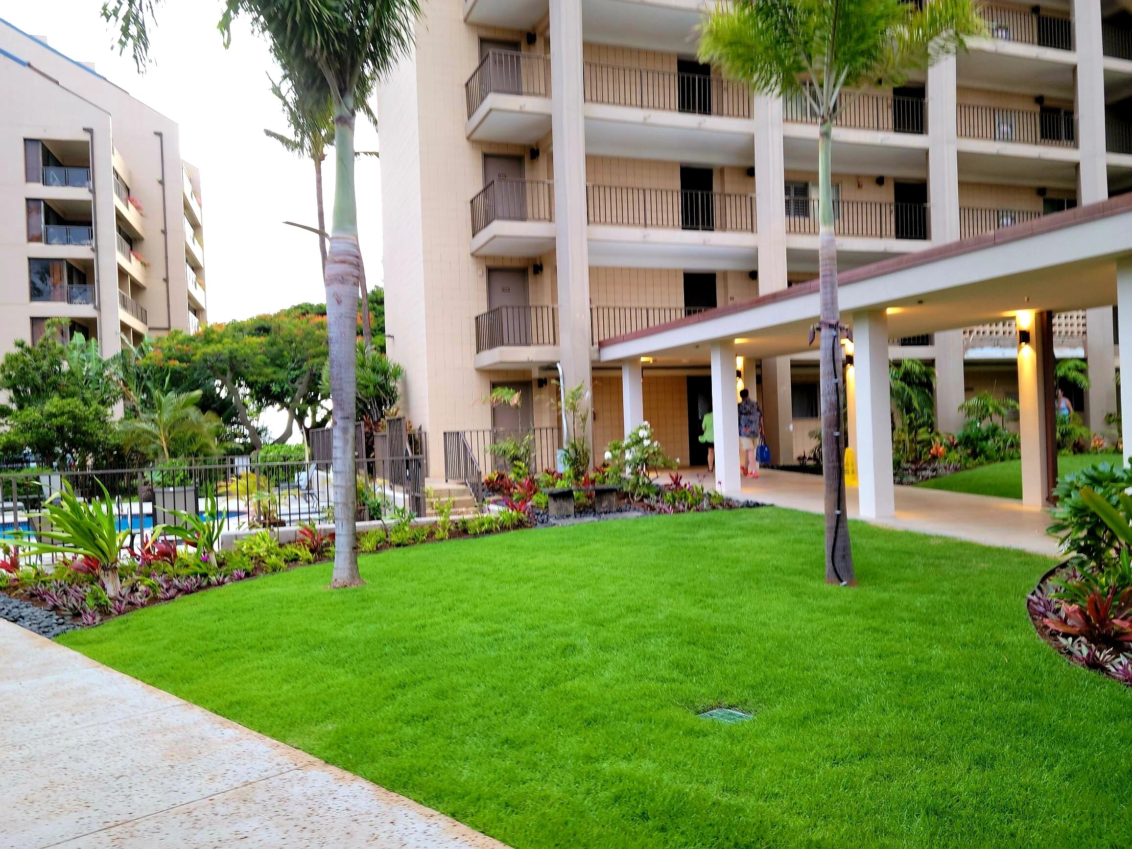 A hotel courtyard with a well-maintained lawn, palm trees, and a pool.