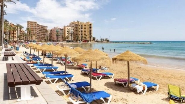 Una playa con filas de sillas de playa y sombrillas, un banco de madera, y una vista despejada del mar y edificios al fondo.
