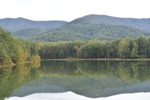 Unclassified image, 4 of 25, button - Cabin Fever in the foothills of the Blue Ridge Mountains (Luray)