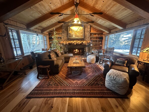 Smart TV, chimenea, reproductor de DVD y estéreo 