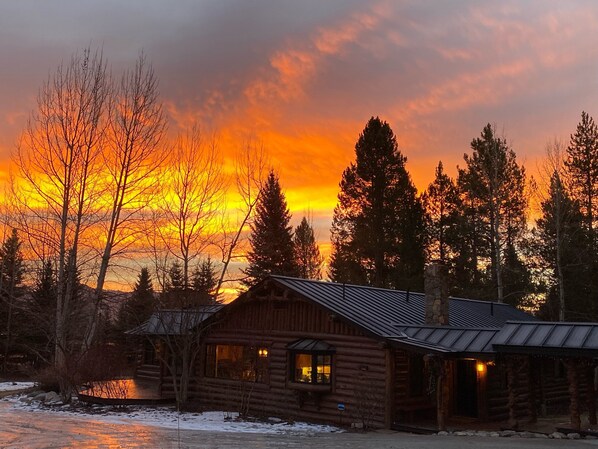 A log cabin with a metal roof, surrounded by trees and a snow-covered ground.