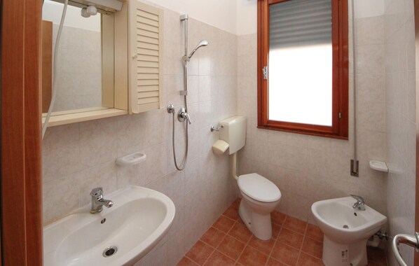 A bathroom with a sink, toilet, bidet, and shower.