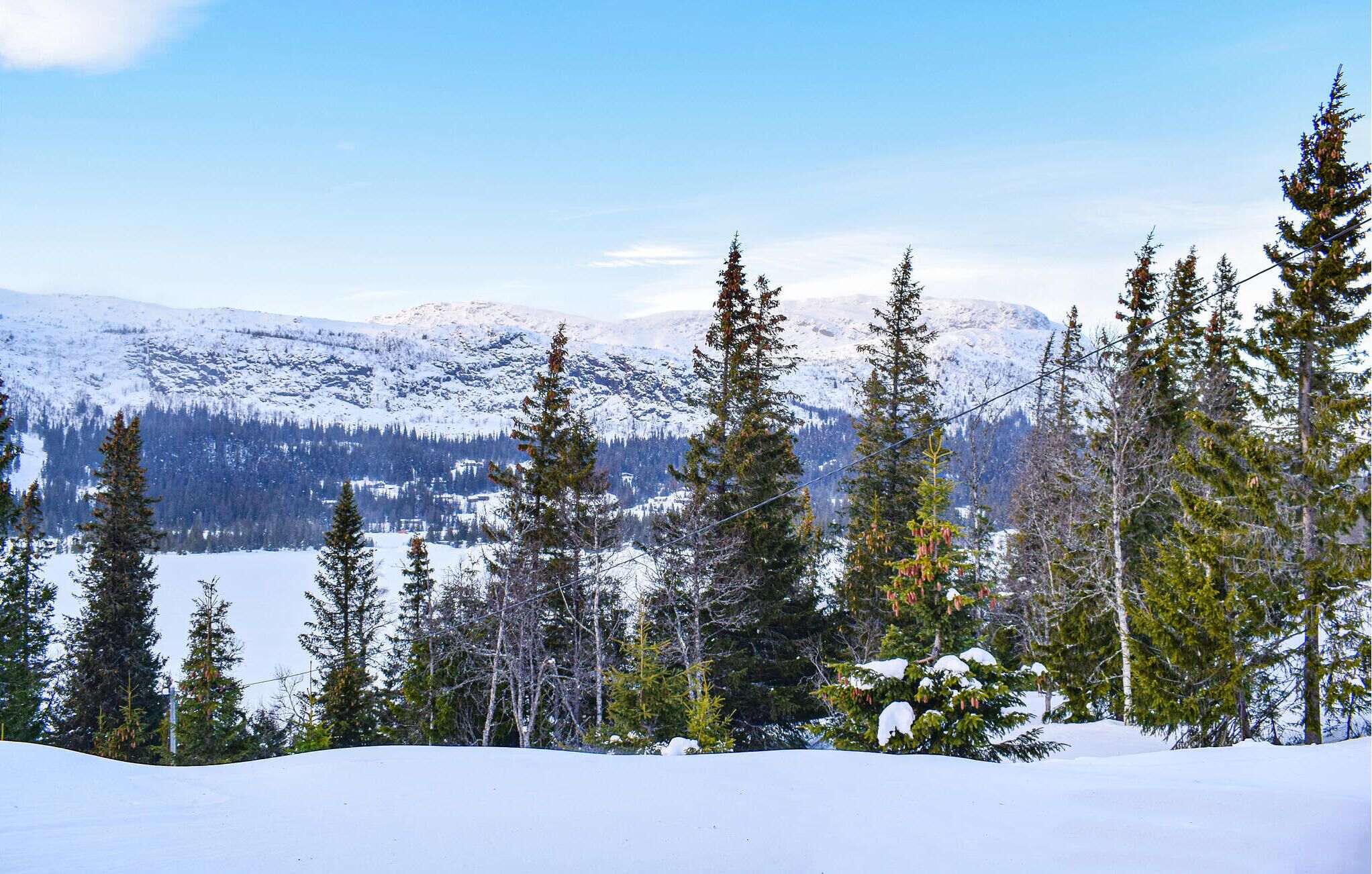 A snowy mountain landscape with evergreen trees and a clear sky.