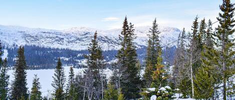 A snowy mountain landscape with evergreen trees and a clear sky.