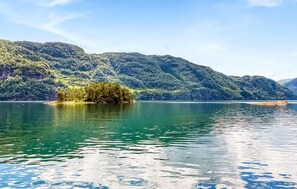 A serene lake with a small island of trees surrounded by forested hills.