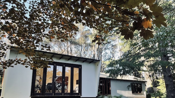 A modern building with large windows and a flat roof, surrounded by trees and greenery. - The Yellow Feather Cottage - Enchanting & Private Romantic Stay! (Wentworth Falls)