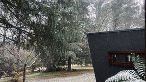A cabin with a window and a door, surrounded by trees and a grassy area. - The Yellow Feather Cottage - Enchanting & Private Romantic Stay! (Wentworth Falls)