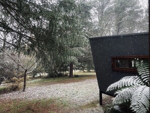 Property grounds - The Yellow Feather Cottage - Enchanting & Private Romantic Stay! (Wentworth Falls)