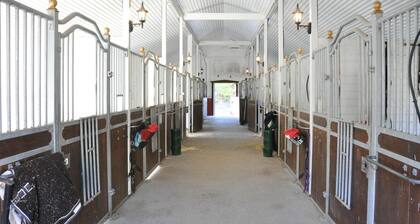 Maison d'une chambre acceptant les.