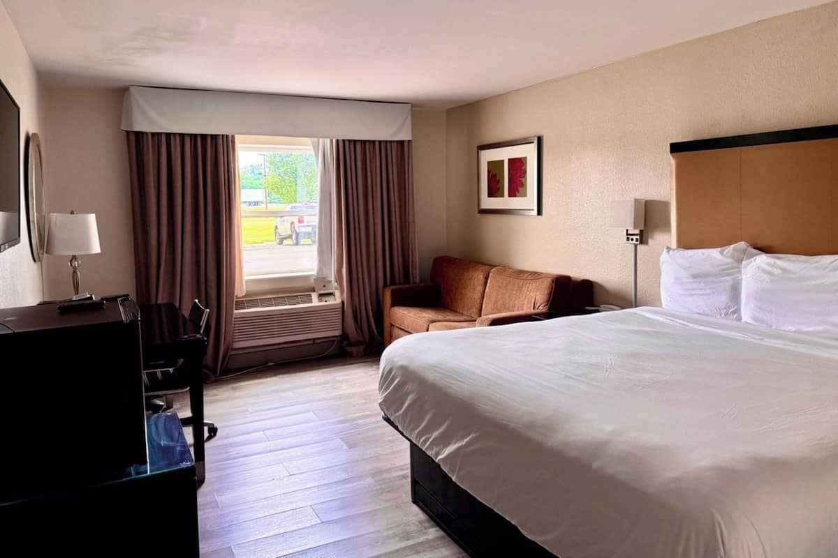 Room, 1 King Bed, Non Smoking