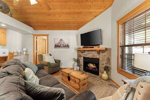 TV, fireplace