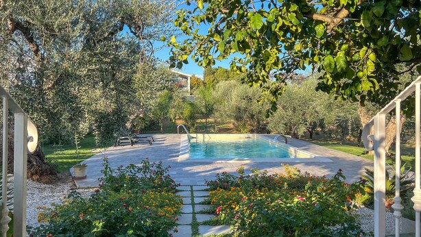 Una piscina rodeada de exuberante follaje y plantas florecientes.