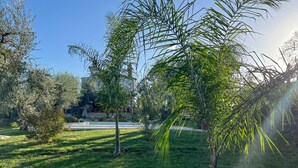 Un jardín bien cuidado con varios árboles y una fuente.