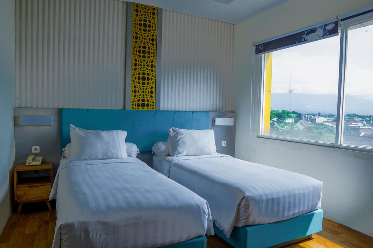 Habitación Deluxe con 2 camas individuales | Wifi gratis