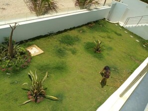 Jardim