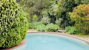 En swimmingpool omgivet af frodigt grønt og diverse planter.