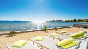 A beachside lounge area with sun loungers, a palm tree, and a view of the sea.