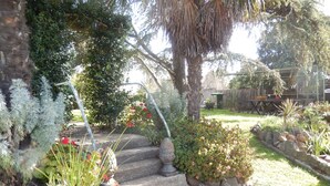 Un jardin avec un chemin de pierres, différentes plantes et une clôture en bois en arrière-plan.