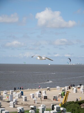 Beach - Modern first floor apartment with sauna and beach chair in the garden for 4 persons (Norden)