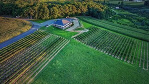 An aerial view of a vineyard with rows of grapevines, a building with a blue roof, and a parking lot. - ⛷️⛱️⛰️Family Lake Home❤️3BR★HotTub★Fireplace★Games★Boat/Fish★Dogs+ (Pocono Lake)