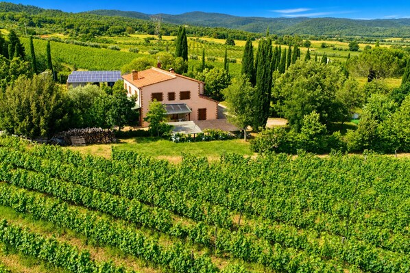 Villa familiar, varias habitaciones, chimenea (Tenuta Di Litiano With Pool) | Exterior