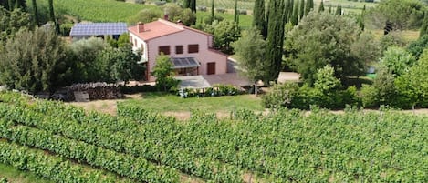 Family Villa, Multiple Bedrooms (Tenuta Di Litiano With Pool) | Exterior