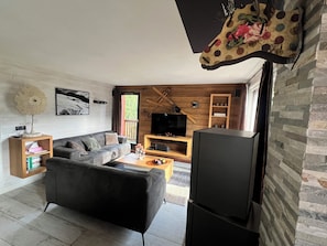 TV, fireplace, books