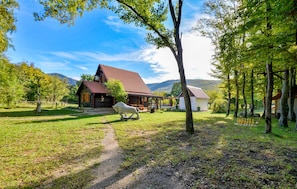 Property grounds - Lovely home in Frkasic (Frkasic)