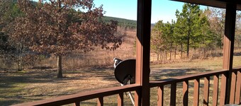 Cabin with Mountain Views