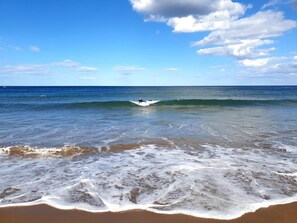 Playa