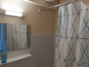 Combined shower/tub, hair dryer, toilet paper
