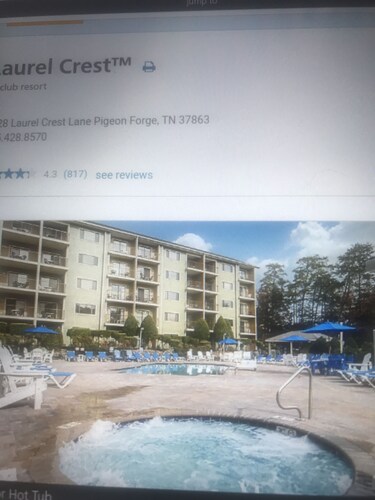 Enjoy the New Year in the Smokies