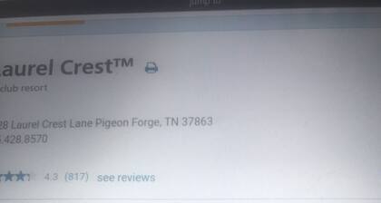 Enjoy the New Year in the Smokies