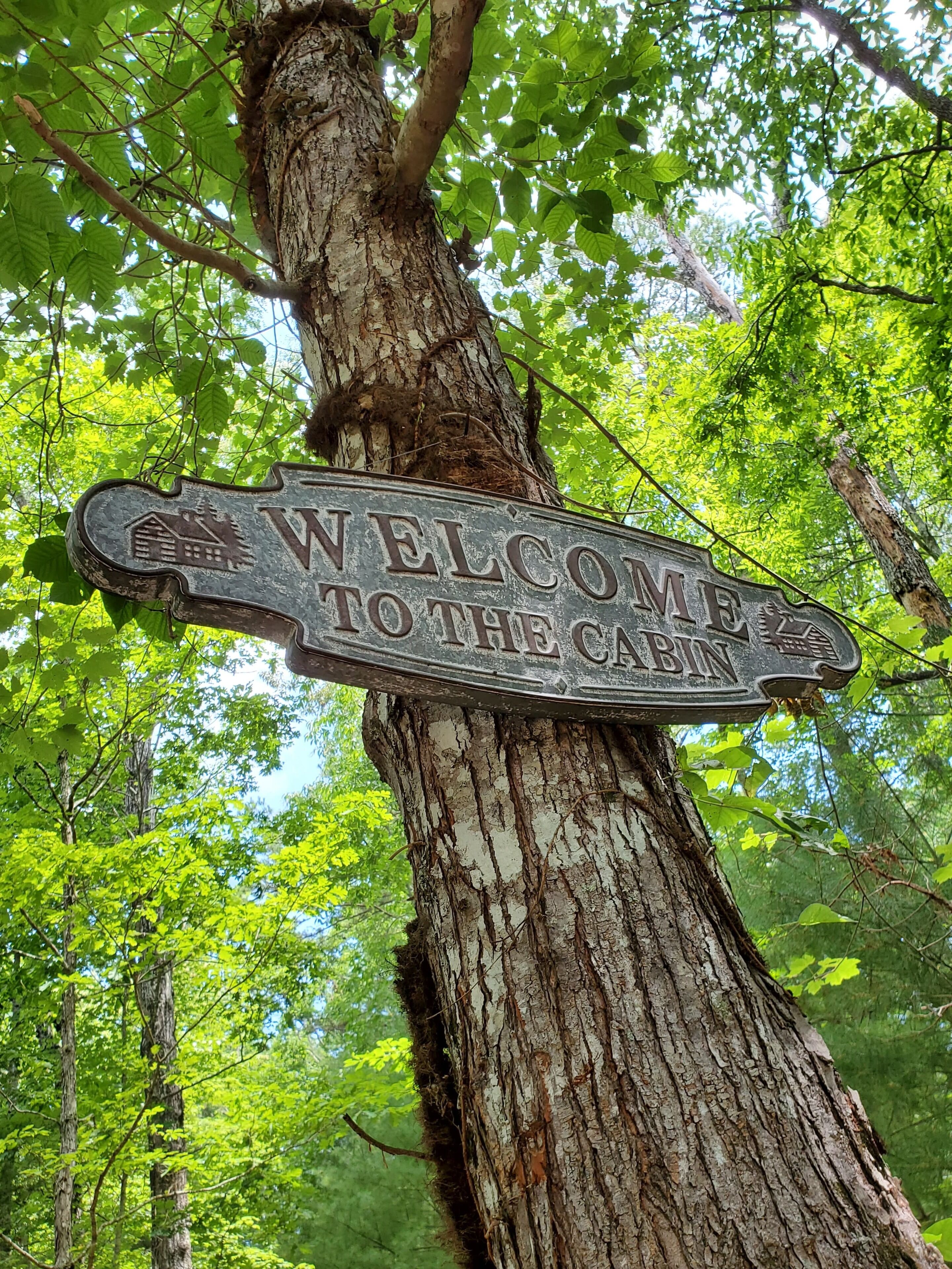 Cozy Modern Cabin, Fall in Love with Nature Again! 