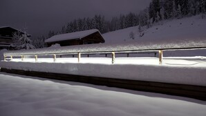 Snow and ski sports - Hôtel de la Grande Lanière (Les Gets)