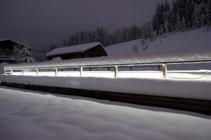 Snow and ski sports - Hôtel de la Grande Lanière (Les Gets)