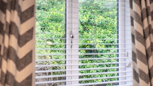 House | View from room