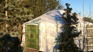 A yurt with a green door, surrounded by trees.